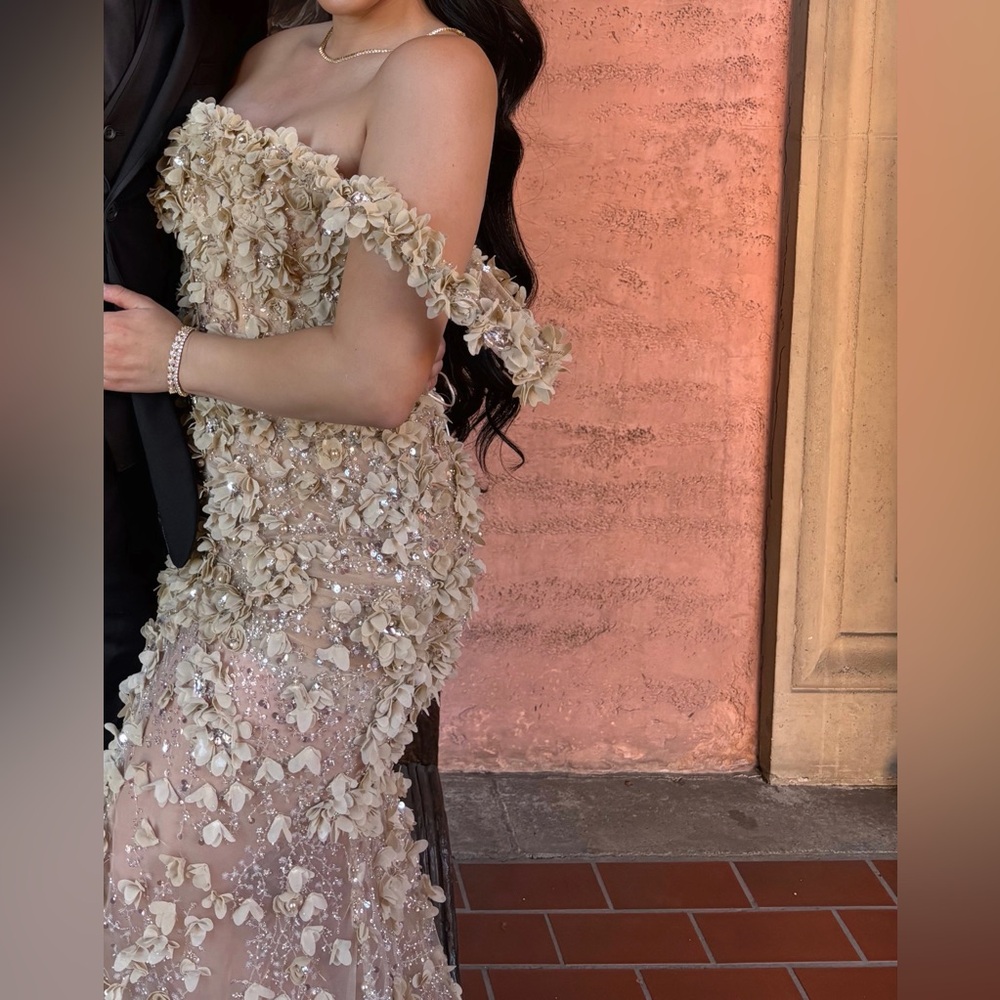 Elegant Tan Evening Gown - Picture 4 of 4